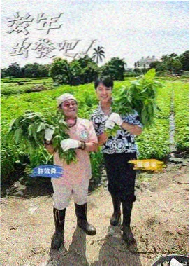 待读标本缩略图，综艺向镜语记录